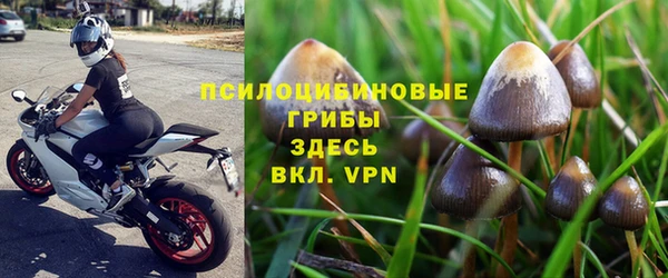 стафф Чегем