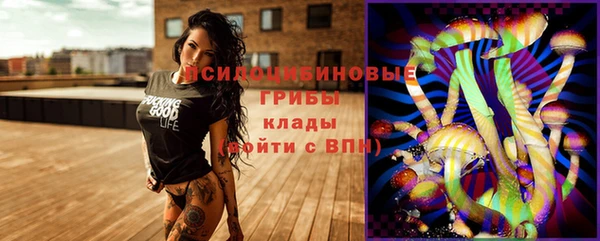 стафф Чегем